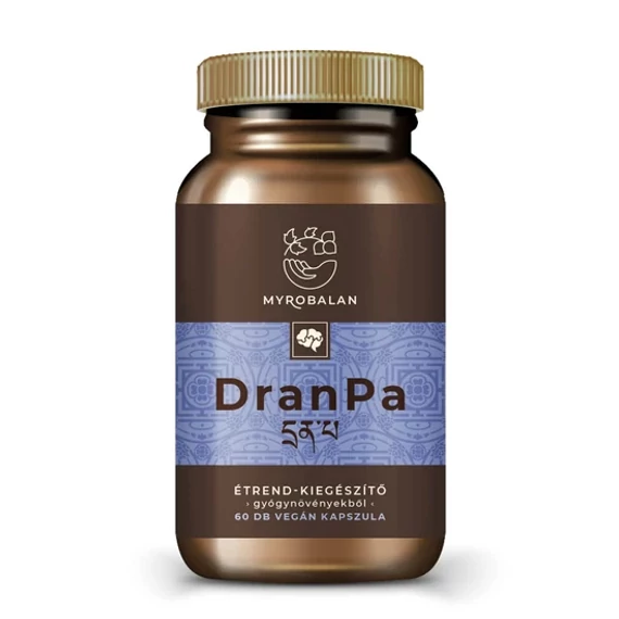 DranPa Agyserkentő és Memóriajavító Gyógynövény-Komplex 60 db Vegán Kapszula